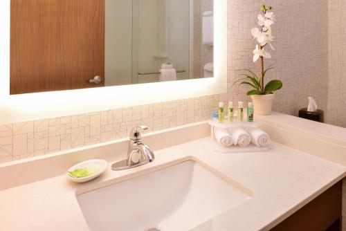 Holiday Inn Express & Suites Trinity an IHG Hotel - main image