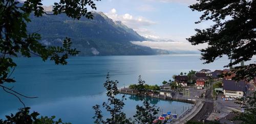 Francy - Partial lake view, Brienz