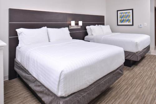 Holiday Inn Express & Suites Corpus Christi-N Padre Island an IHG Hotel - image 6