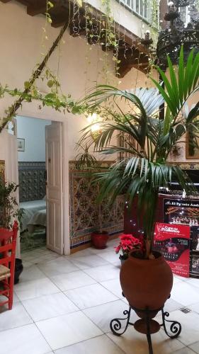 Hostal Lis Room Type - Economy Double Interior Room
