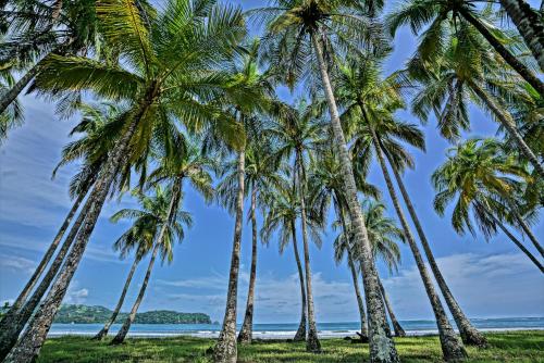 Nammbú Beach Front Bungalows