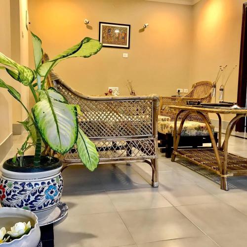 Bougainvillea – Guwahati, TX