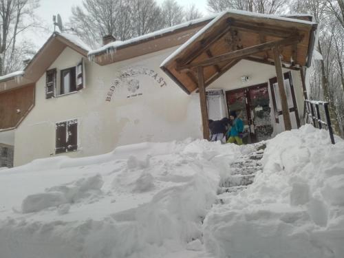 Chalet Il Cristallo-Monte Amiata - image 5