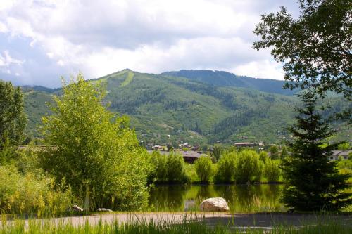 Holiday Inn Steamboat Springs an IHG Hotel - image 5