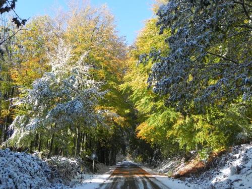 Chalet Il Cristallo-Monte Amiata