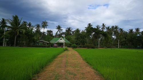 บ้านทุ่งนาของปั้นหยา​โฮมสเตย์​ บ้านทุ่งนาของปั้นหยา​โฮมสเตย์​