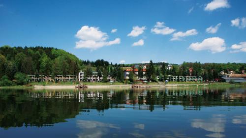 Dom Wczasowy STALOWNIK - Accommodation - Gródek Nad Dunajcem