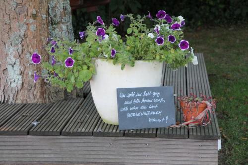 Pension Klein - image 14