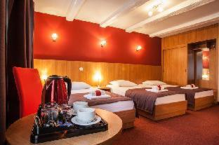 Hotel Alexander, Kraków (zdjęcie 10)