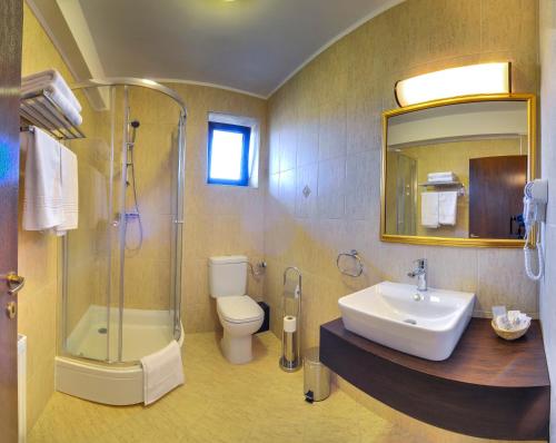 Pensiunea Toscana - image 7