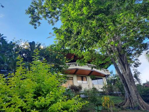 Tangkoko Sanctuary Villa & Spa in Rinondoran