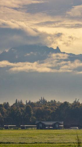 Mount Kenya Farm Stay