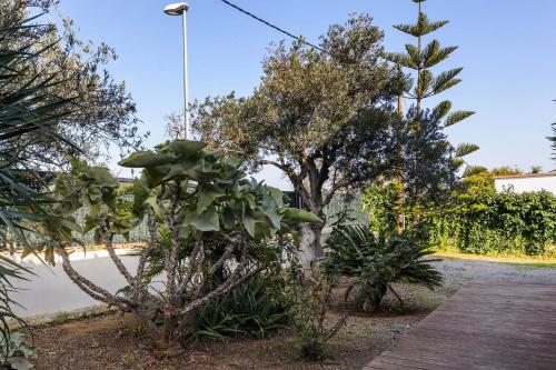 New! Villa Anur - image 12