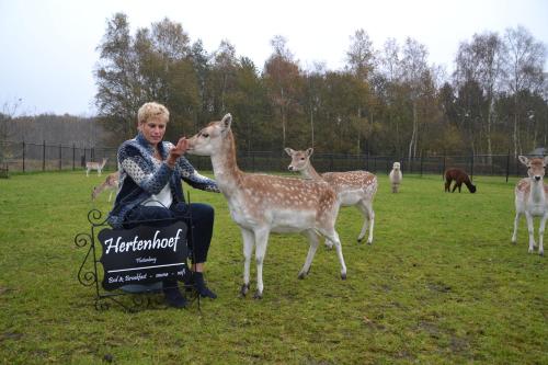 B&B Hertenhoef, Fluitenberg (Hoogeveen)