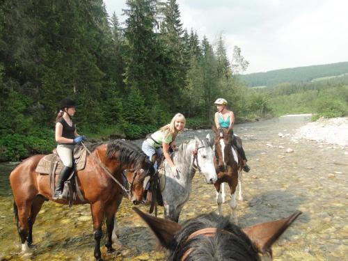 Mały domek pod lasem, Zakopane (photo 4)