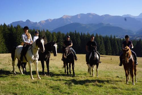 Mały domek pod lasem, Zakopane (photo 2)