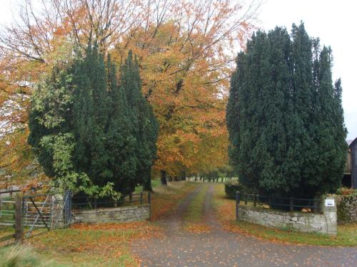 Abbotshaw House Farm B&B - image 3