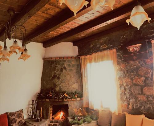  THE NEST in Palaios Agios Athanasios