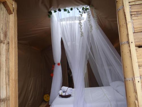 Qji Glamping biohotel