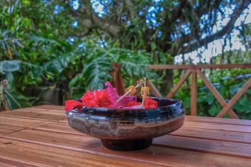 435, Ishigaki-jima (Foto 8)