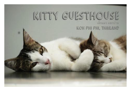 Foto - Kitty Guesthouse