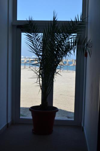 Hotel Laguna - image 12