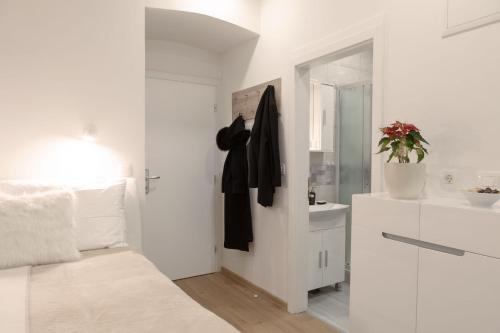 Studio Apartment Gea Tour As Ljubljana, Lublaň (fotografie 6)