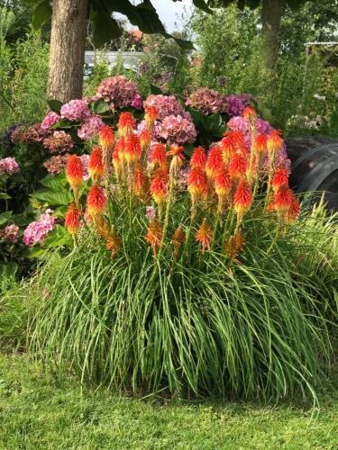  B&B Zonnedauw in Zwartemeer