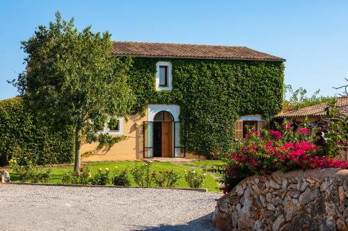 Finca Parra, Santanyi (fotografie 10)