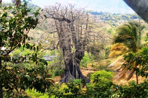 สภาพแวดล้อมโดยรอบ, Hotel Avenida in อัสโซมาดา