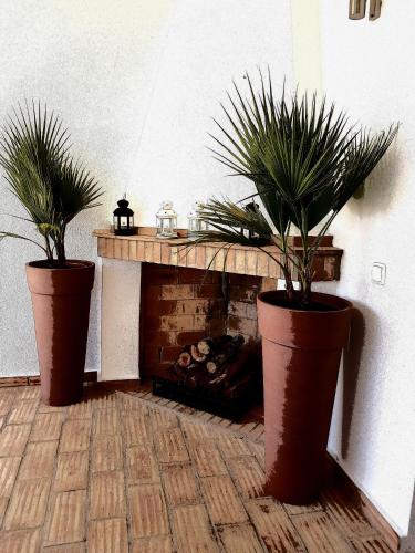 Herdade Quinta Natura Turismo Rural - main image