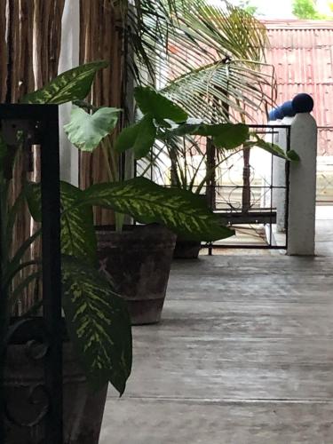 Emotion Avenida Tulum Hotel & Hostal in Tulum