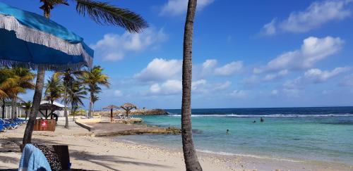 PARADISIAC LAGOON 2