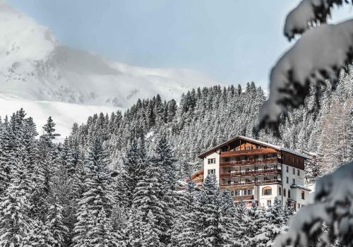 Hotel Alpensonne - Panoramazimmer & Restaurant - image 3
