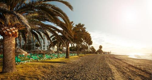 Marina Playa Nerja - image 6
