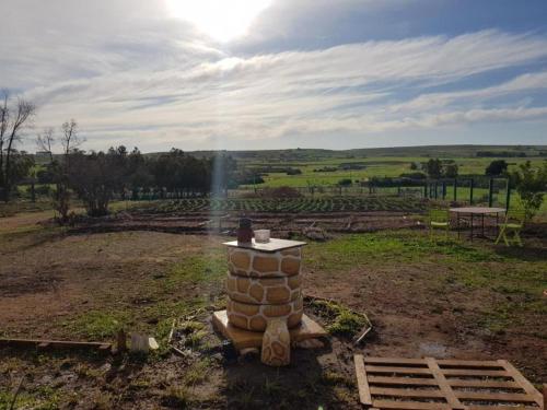 정원, Bird branch house in Settat