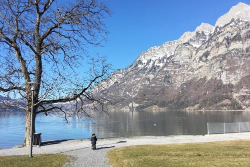 Ferienwohnung Resort Walensee 98 - Seehöckli