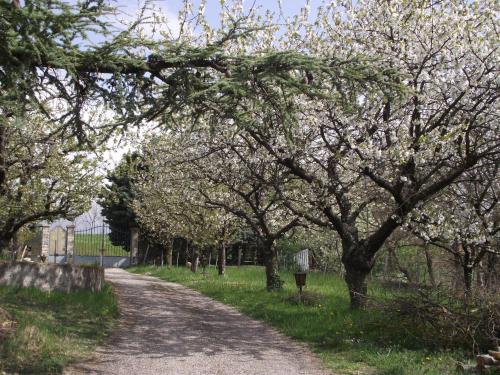 Domaine des cigales, chambre d'hôtes