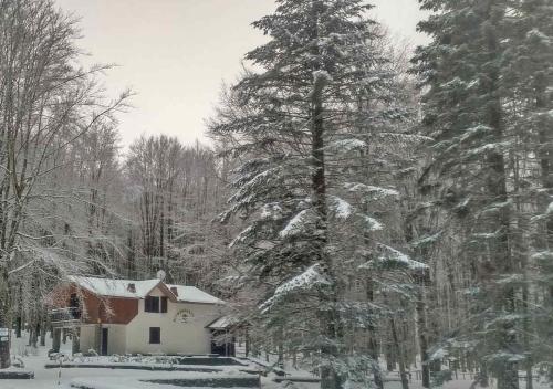 Chalet Il Cristallo-Monte Amiata - image 8