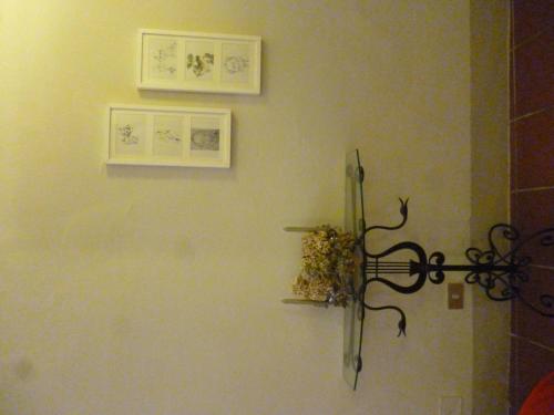 Luisa in Palazzo Bianchi, Parma (foto 8)
