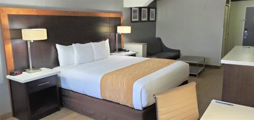 Comfort Inn & Suites Near Universal - North Hollywood – Burbank - image 5