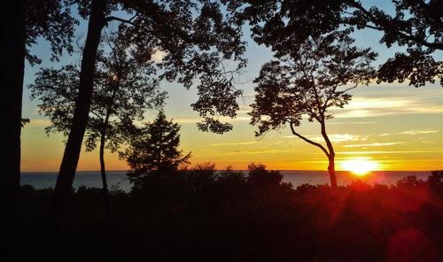 Pet-Friendly One Crow Cottage in Harbor Springs! - image 10