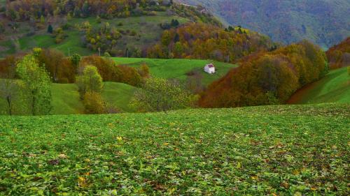 13 Comuni Ristorante E Albergo
