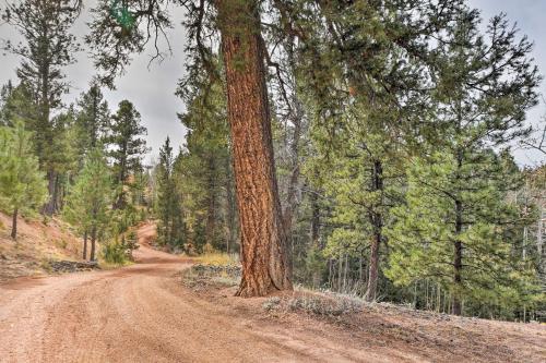 A-Frame Cabin with Mtn Views - 4 Mi to Cripple Creek! - image 5