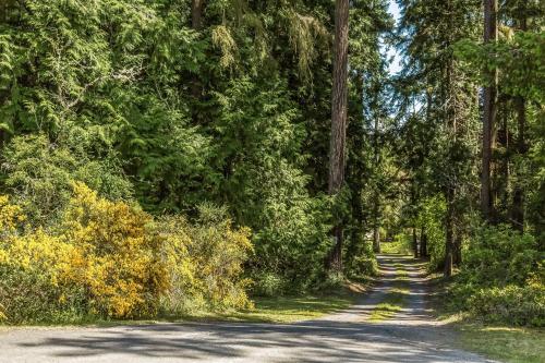 Waterfront Home - Easy Access to Olympic Peninsula - main image