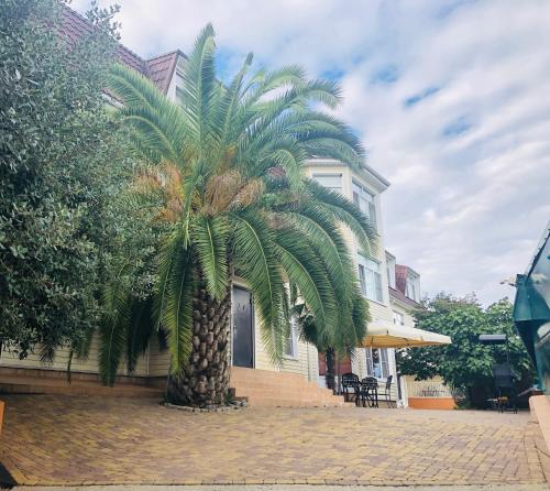 Arabika Apart Hotel