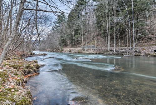 Cozy Wilcox Home on East Branch of Clarion River! - main image