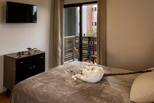 Lobos de Mar in Punta Del Diablo