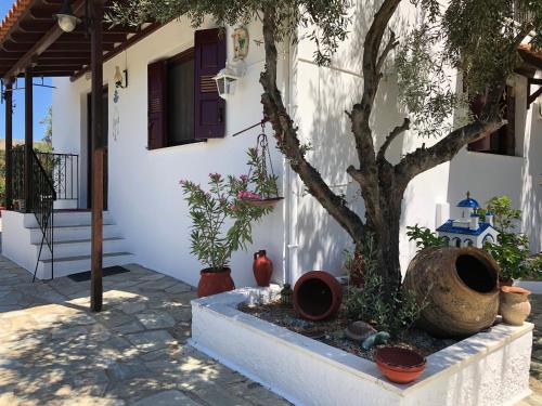 Xanemos Villa - image 2