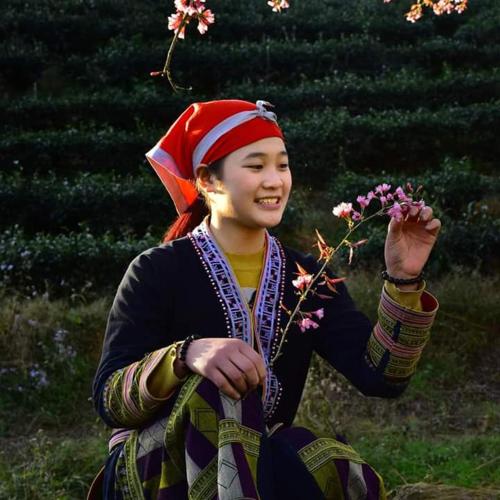 Sapa Dao Homestay photo